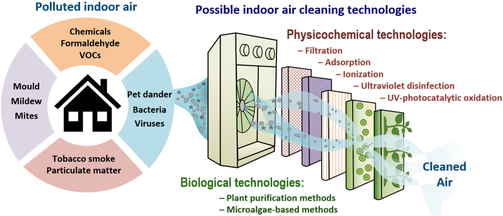 Mold in Air Duct Cleaning in Ajman